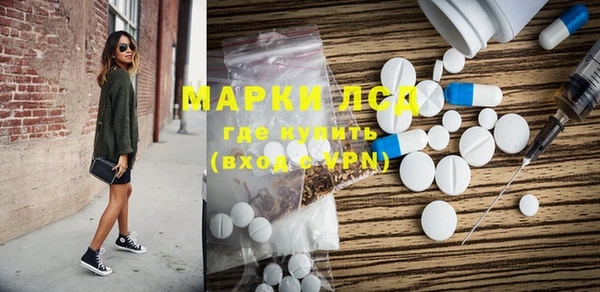 спайс Богданович