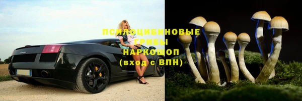 спайс Богданович