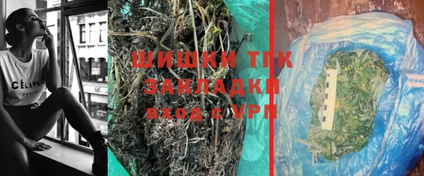 спайс Богданович