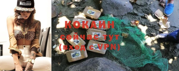 хмурый Осинники