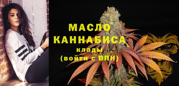 СК Богородицк