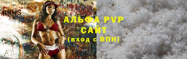 спайс Богданович