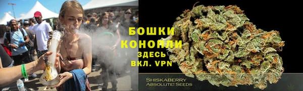 СК Богородицк