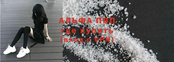 спайс Богданович